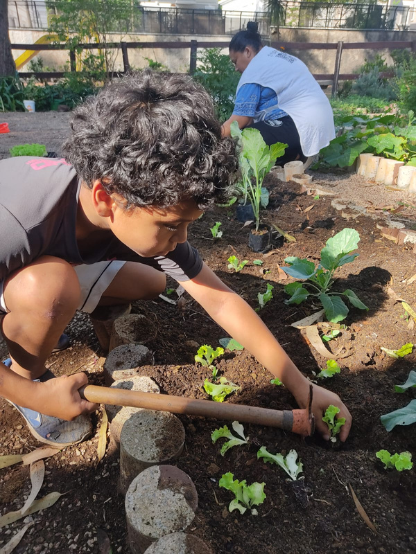 9-26-23 planting in JD Panorama garden